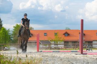 Pinka-Völgyi Napfény Farm -  - 3