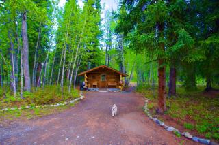 Carlo Creek Cabins - 9