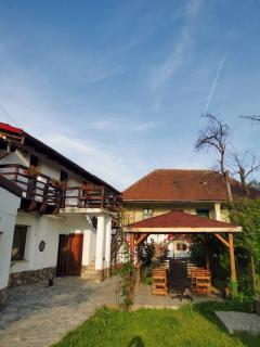 Casa Juliana - Rîu Bărbat - 9
