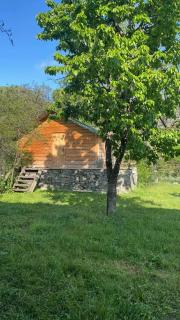 Guest House Aleksandre - 5