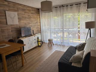 Studio de 32 m2 pour 3 personnes pied des pistes - Les Deux Alpes - 0