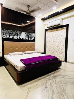 Jimmys luxury retreat - Udaipur - 9