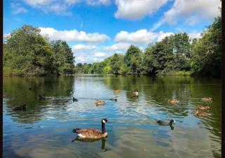 Lakeside studio - Earley - 1