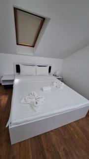 S-Apartmani Cocetova - Jagodina - 7