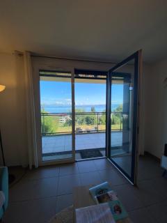 Appartement avec vue imprenable sur le Lac Leman - Évian-les-Bains - 3