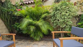 nos appartements ciel et mer a tenerife - Santa María de Gracia - 0
