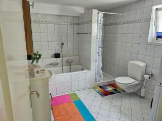 Ferienwohnung FeWe Wandern und Skifahren - Triesen - 1