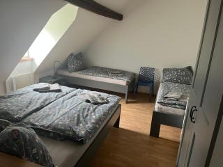 Apartmány Růžová - Růžová - 7