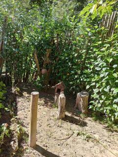 Cantinho da boa sorte - Sana - 3