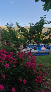 Villa Almar - - 2