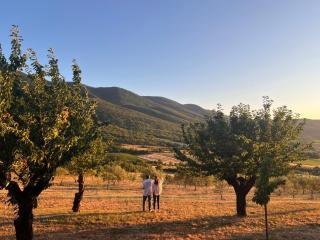 Le Grand Hermas - 4