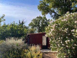 Le Grand Hermas - Saint-Martin-de-Castillon - 7