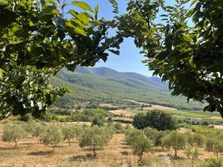 Le Grand Hermas - 7