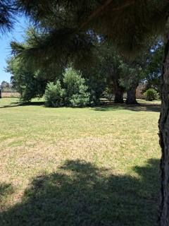 La Emilce - Daireaux - 3