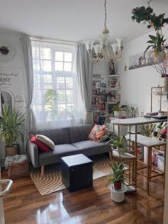 Cozy Studio Apartment - 0