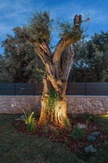 Ertha Retreat Homes - Lefkada - 1