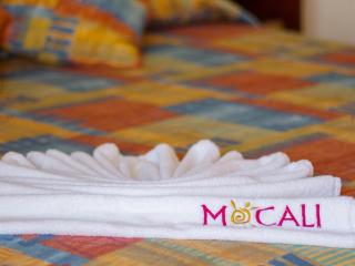 Mocali - 4