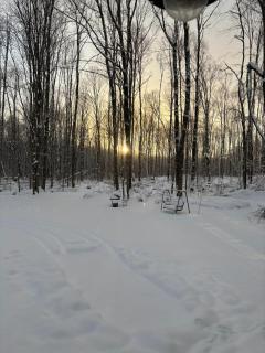 1 Bed Studio Cabin in the Woods with Kitchen - 4