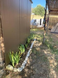 Olive Qeparo Fushe Camping - Qeparo - 9