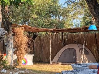 Olive Qeparo Fushe Camping - Qeparo - 8