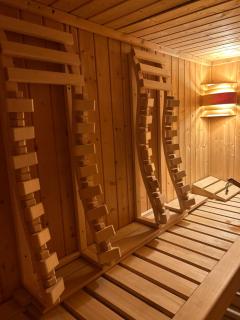 Wellness Ferienwohnung mit Sauna, Massagen, Spa, beheizbarem Whirlpool bei Leipzig - 7