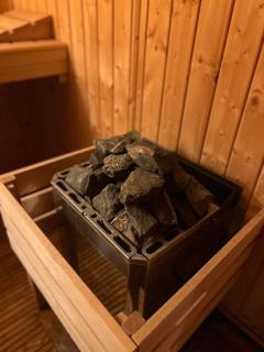 Wellness Ferienwohnung mit Sauna, Massagen, Spa, beheizbarem Whirlpool bei Leipzig - 5