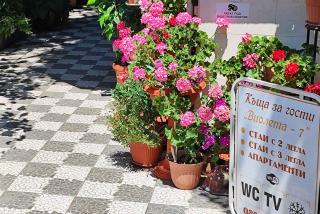 Violeta 7 Guest House - 5