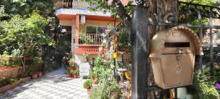 Violeta 7 Guest House - 7