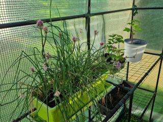 Logement indépendant avec jacuzzi au calme - 2