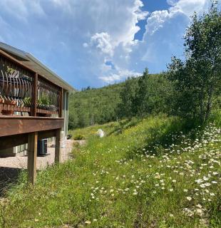 Majestic Retreat Studio - 9