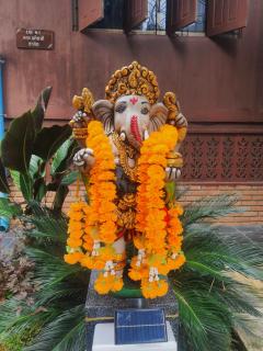 Peace of Love Pai - 1