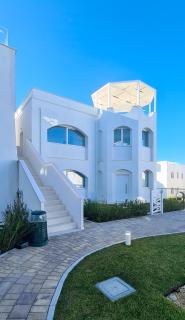 White Oasis - 5