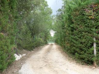 Le bonheur au soleil - Saint-Maximin-la-Sainte-Baume - 2