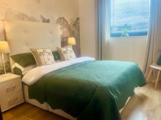 Award Winning Large Stylish 3 bedroom City centre Apartment Free secure Parking - 7