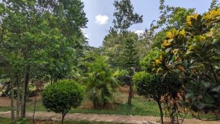 Sunshine Resort Sigiriya - 4