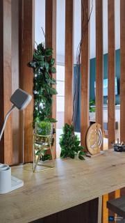 Loft en casco antiguo - 7