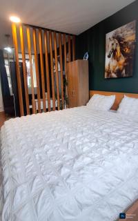 Loft en casco antiguo - Panama City - 9