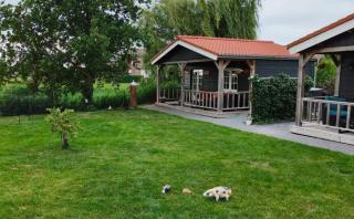 Het baken van Tholen - 0