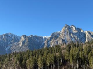 Alpin Vista - 9