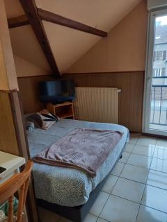 Les appartements du Lion de Belfort - 5