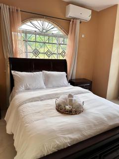 Livingwell Homes Jamaica - - 8