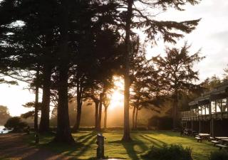 Pacific Sands Beach Resort - Tofino - 8