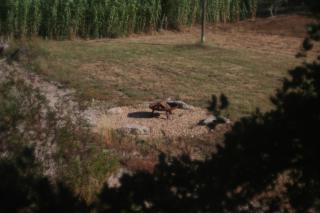 Quinta da Paz Eco-Lodge - 5