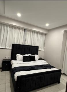 Skynest Luxurious 2 Bedroom Apartment - Nairobi - 6