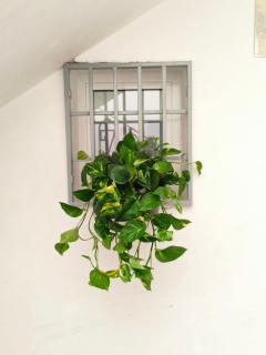Casa Iolanda - Bari - 6