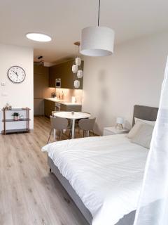 Amy apartman , 02 Arena, Free parking - Prague - 1