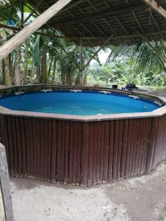 Kysake Homestead - - 9