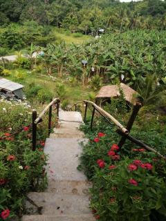 Kysake Homestead - 6