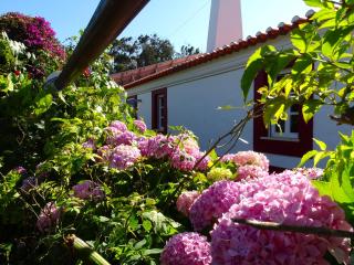 MONTE DO CHAPARRO by Stay in Alentejo - Vila Nova de Milfontes - 8