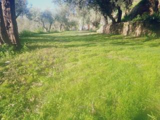 Casa grande con campo barbacoa y piscina privada - Órgiva - 1